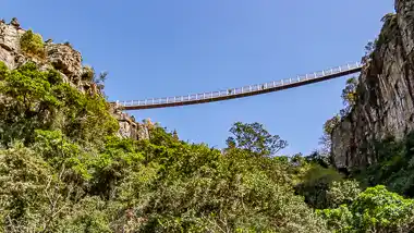 Suspension Bridge: Graskop Gorge Lift